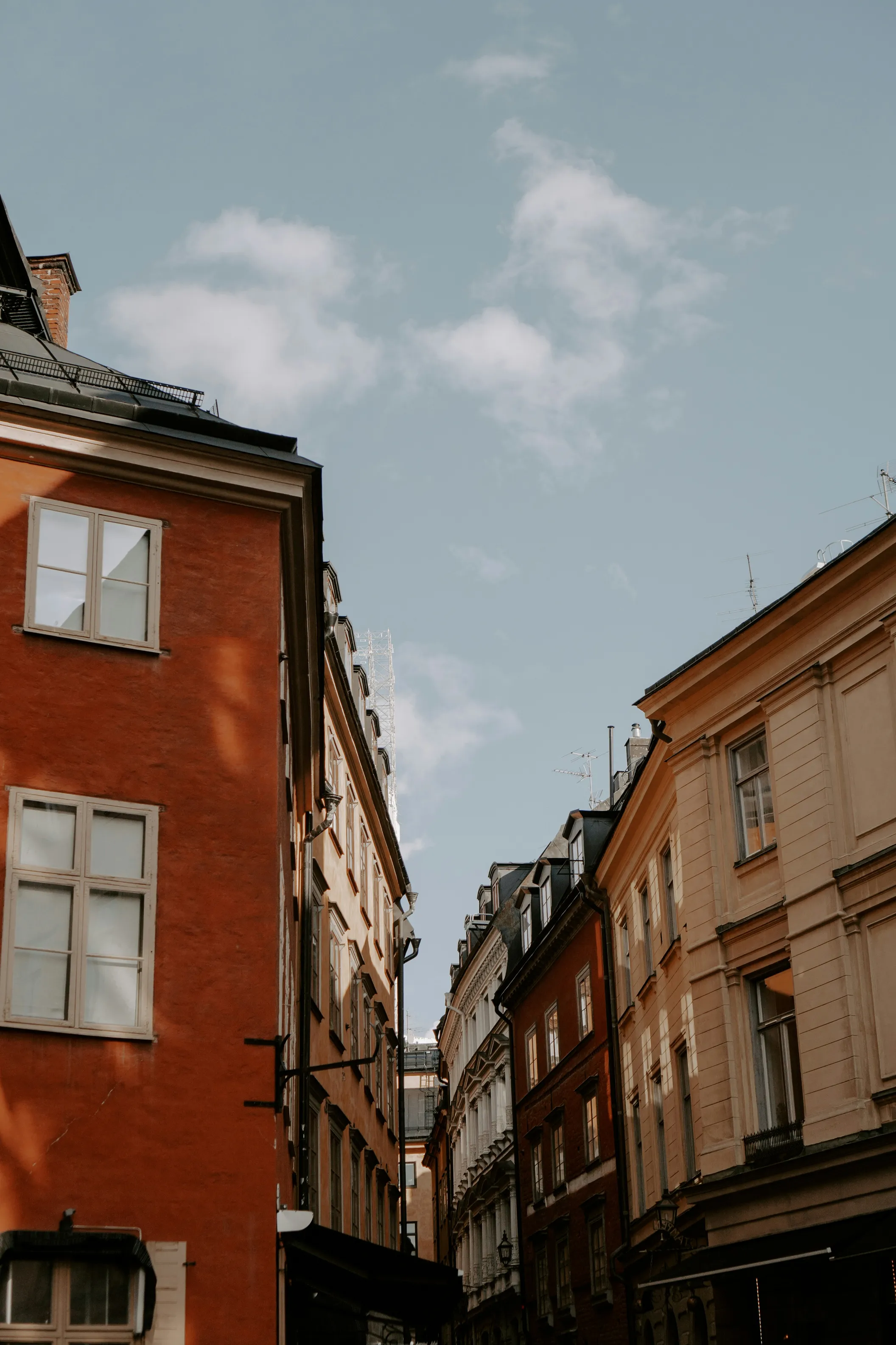 premium_photo-1666529074890-900b07083bd2