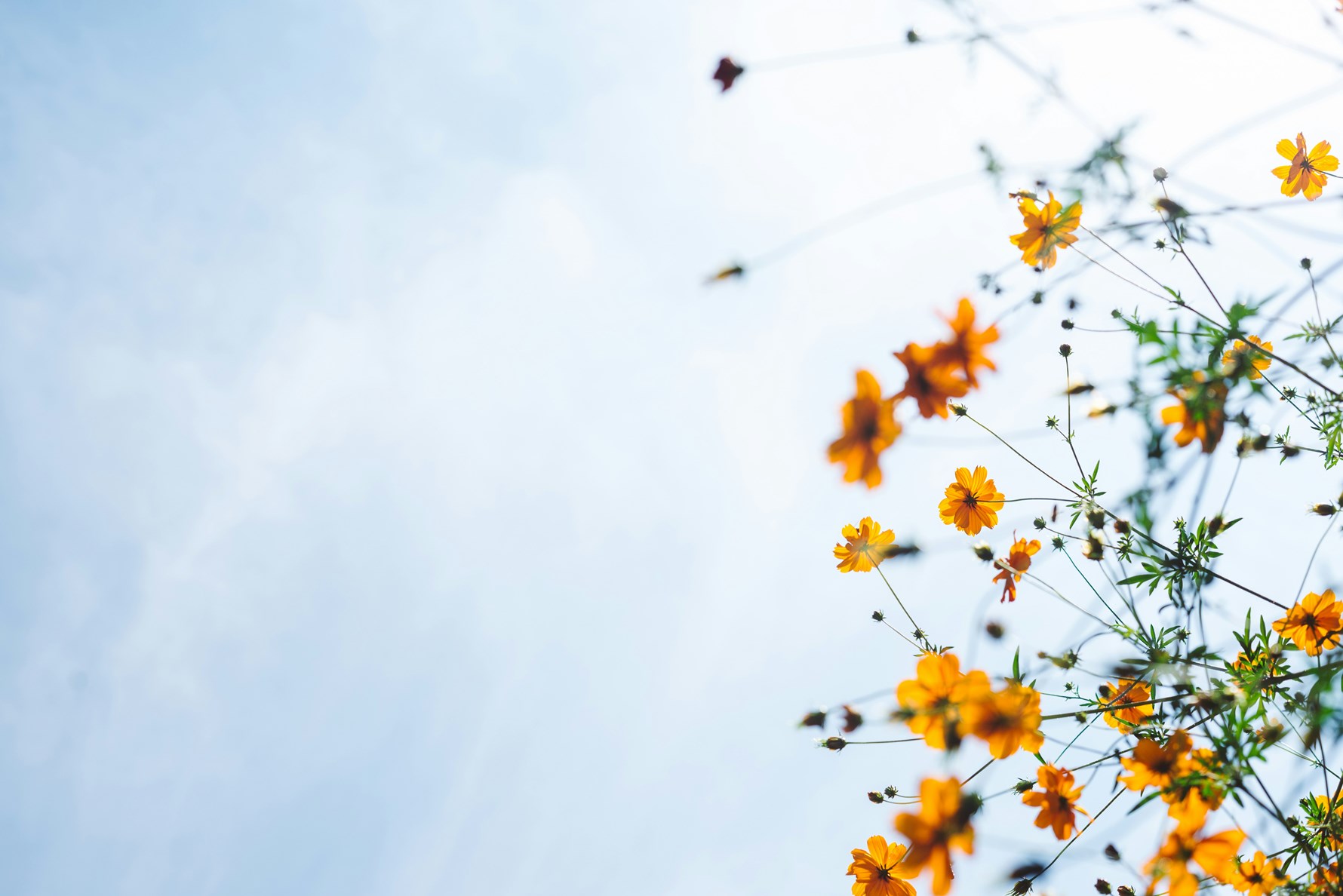 masaaki-komori-7xP5BJ34ybg-unsplash