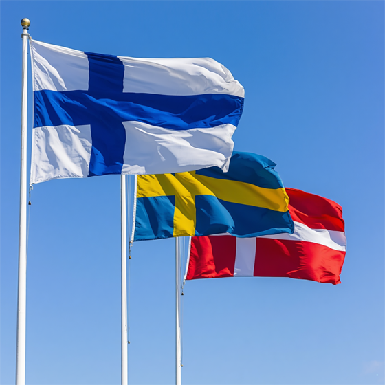 Hire in Finland (7)